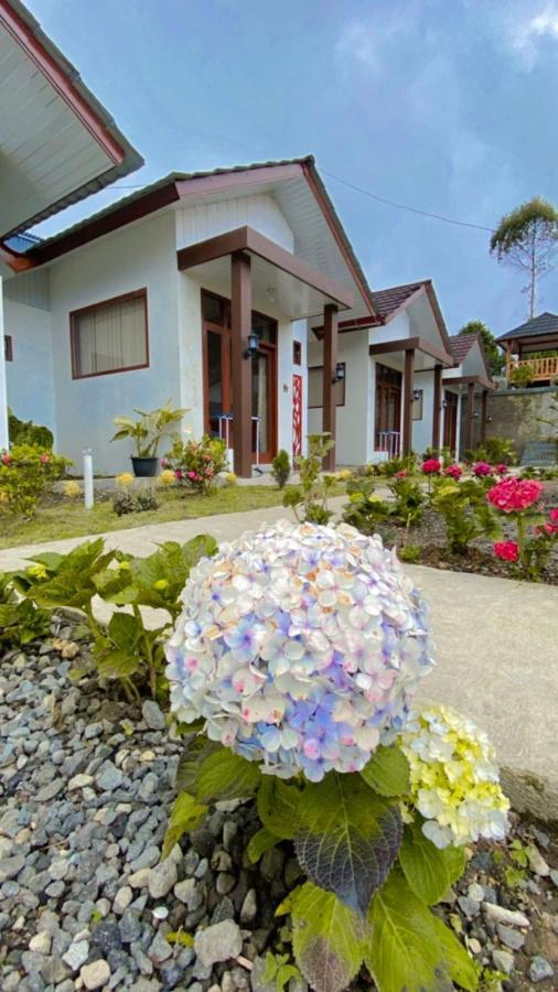 Villa Madinna Dieng Diyeng Ngoại thất bức ảnh